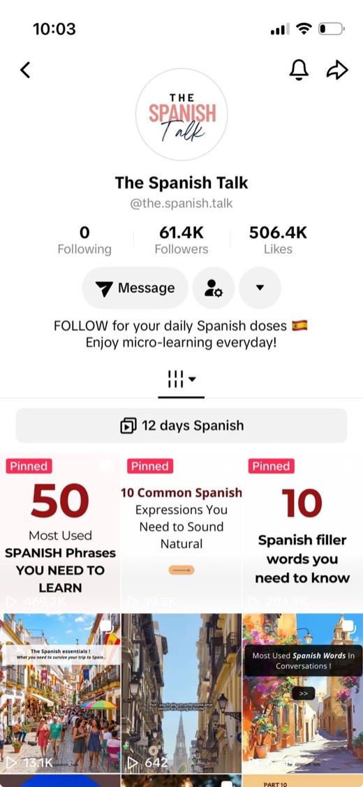 The Spanish Talk — real TikTok profile screenshot
